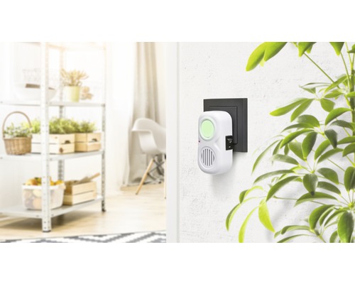 In-der-Wand Schädlingsbekämpfer in einem hellen Wohnraum.