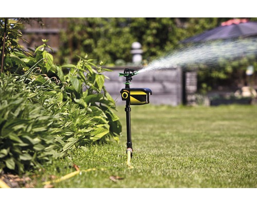 Gartensprenger beim Bewässern des Rasens