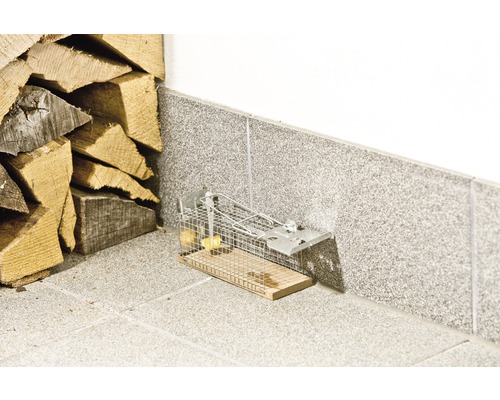 Lebendfalle für Mäuse aus Drahtgitter mit Köder neben einem Holzstapel