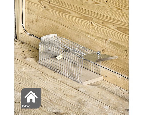 Lebendfalle für den Innenbereich
