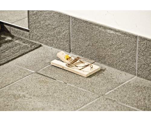 Holz-Mausefalle auf Fliesenboden