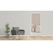 Vue d''une pièce avec porte en verre, fauteuil et plante en pot.