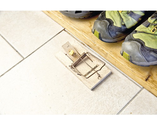 Holz Mausefalle mit Metallmechanismus und Köder