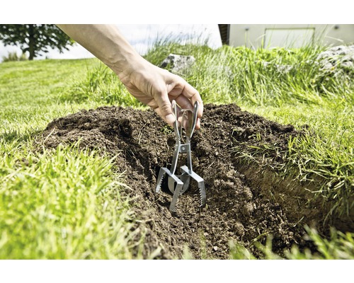 Eine Maulwurffalle wird in einen Maulwurfhügel auf einer Wiese eingesetzt.