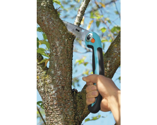 Une scie à branches coupe une branche d''arbre.