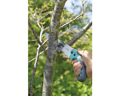 Jardinage avec une scie à branches pour tailler une branche d''arbre