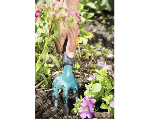 Jardinage avec une petite griffe de jardin dans un parterre de fleurs.