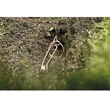 Piège à campagnol terrestre Windhager 2 pièces