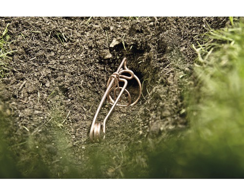 Eine Drahtfalle liegt in einem Erdloch.