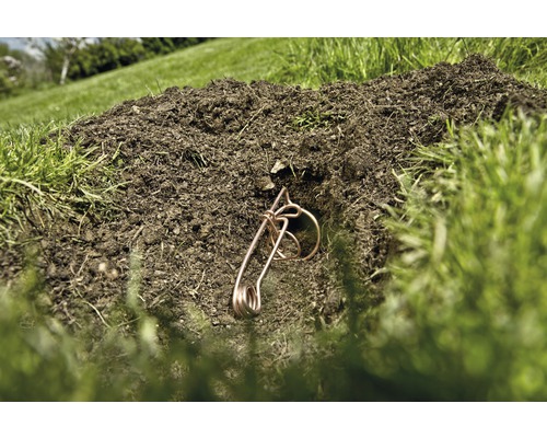 Mausefalle im Erdloch im Garten