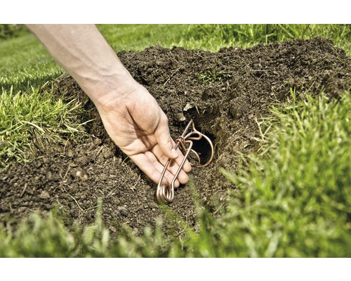 Eine Person platziert eine Drahtfalle in einem Loch im Boden zur Schädlingsbekämpfung.