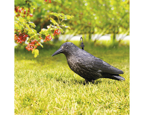 Krähenattrappe aus Kunststoff zur Vogelabwehr auf einer Wiese