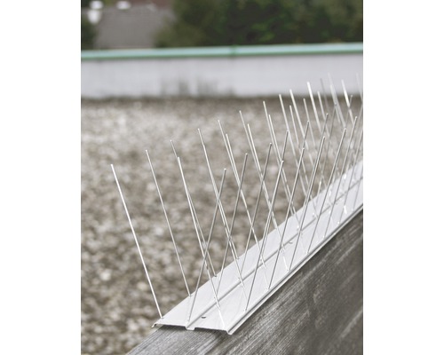 Taubenabwehrspikes auf einer Oberfläche