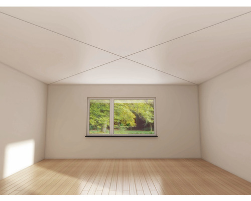 Pièce lumineuse avec sol stratifié et fenêtre donnant sur la verdure