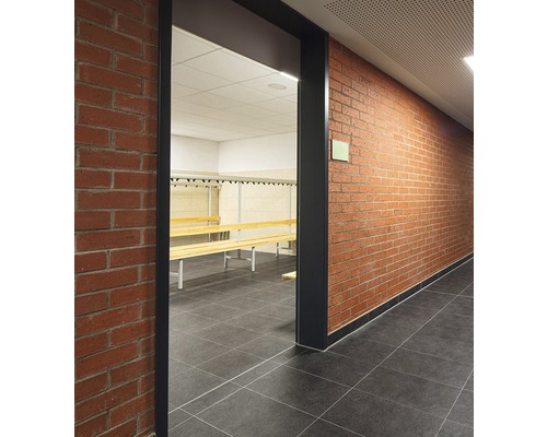 Photo intérieure d''un vestiaire avec murs en briques et bancs