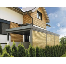 Rhombusleiste HBFIX sibirische Lärche unbehandelt 27x68x4000 mm, 1 Pack = 8 Stück