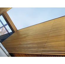 Rhombusleiste HBFIX sibirische Lärche unbehandelt 27x68x4000 mm, 1 Pack = 8 Stück