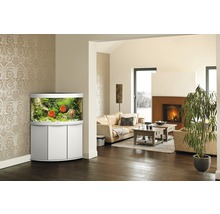 Wohnzimmer mit Eckaquarium, Sofa und Kamin