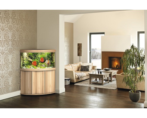 Aquarium d''angle avec poissons dans un salon