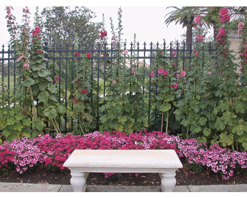 Gartenlandschaft mit Bank, Blumen und Zaun