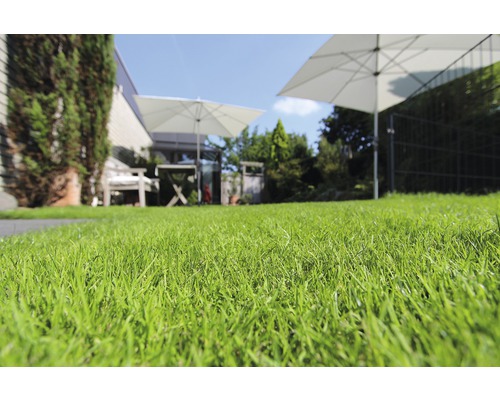 Pelouse soignée dans le jardin avec mobilier de jardin et parasols