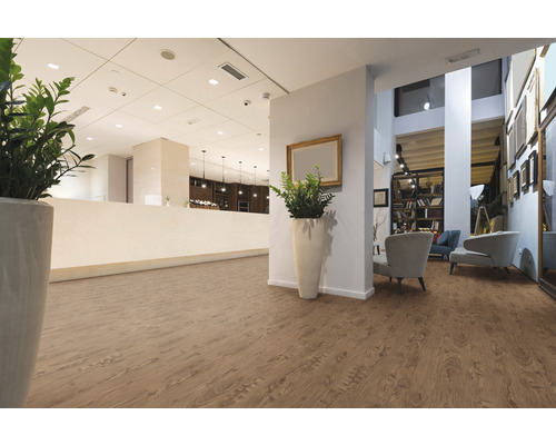 Intérieur avec revêtement de sol aspect bois, plantes et meubles de salon