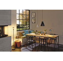 Salle à manger avec table en bois, chaises, suspensions, lampadaire et fenêtre donnant sur l''extérieur