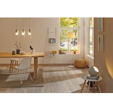 Salon lumineux avec table à manger, étagère échelle et lampadaires pour une ambiance conviviale.