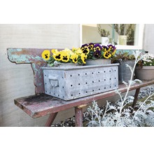 Banc vintage avec jardinière en métal et pensées colorées