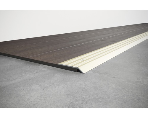 Profilé de sol pour compenser les différences de hauteur du sol