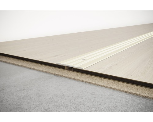 Profilleiste zwischen zwei Bodenbelägen