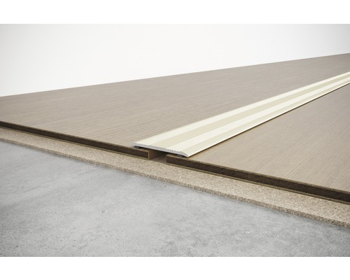 Revêtement de sol avec profilé de transition