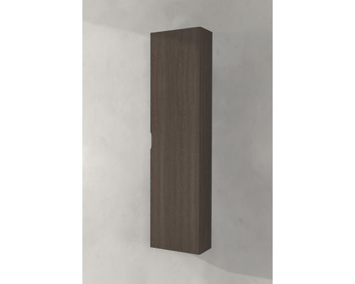 Armoire haute pour montage mural