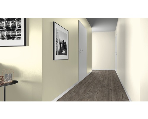 Couloir avec porte, tableaux et sol stratifié