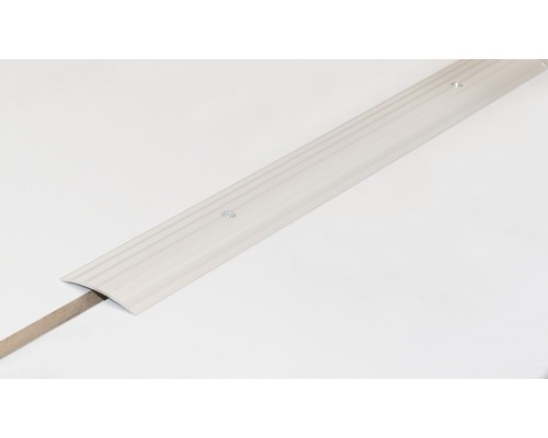 Übergangsprofil mit Schrauben