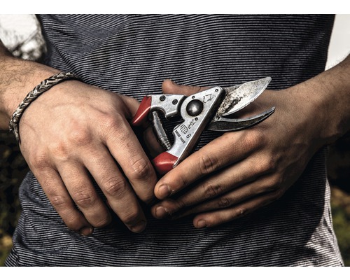 Nahaufnahme einer Hand mit einer Felco 8 Gartenschere