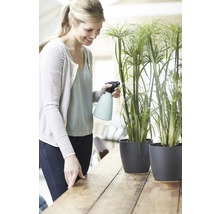 Cache-pot elho Brussels en plastique Ø 16 h 14 cm anthracite