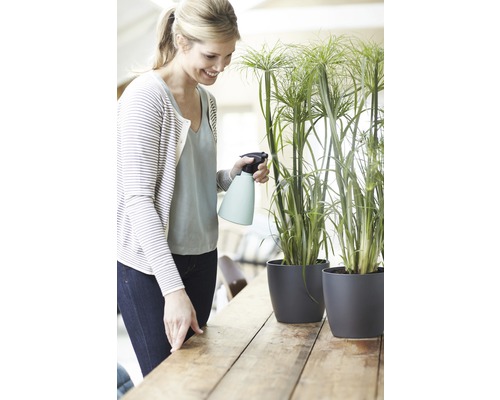 Femme arrosant des plantes d''intérieur en pot avec un vaporisateur sur une table en bois