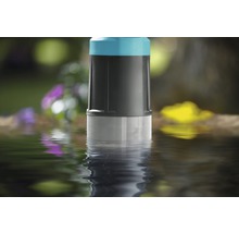 Gartenpumpe im Wasser