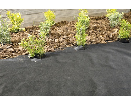 Gartenszene mit Unkrautvlies und Pflanzen im Beet