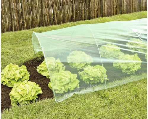 Gemüsegarten mit Salat unter einem Pflanztunnel