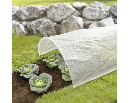 Parterre de légumes avec couverture non tissée pour la protection des plantes