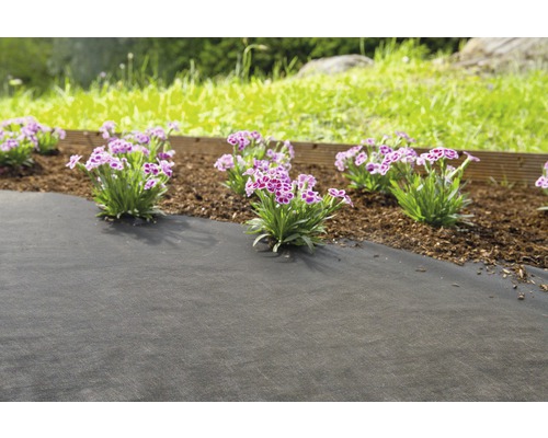 Gartenszene mit Unkrautvlies, Blumen und Holzeinfassung