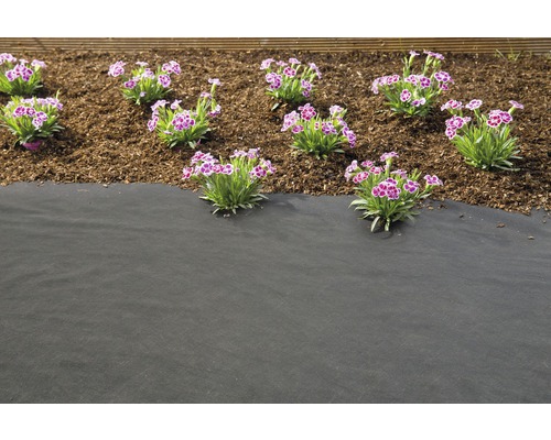 Garten mit Unkrautvlies, Rindenmulch und blühenden Nelken