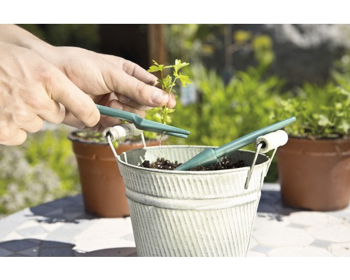 Plantation d''une plante dans un pot avec des outils de jardinage
