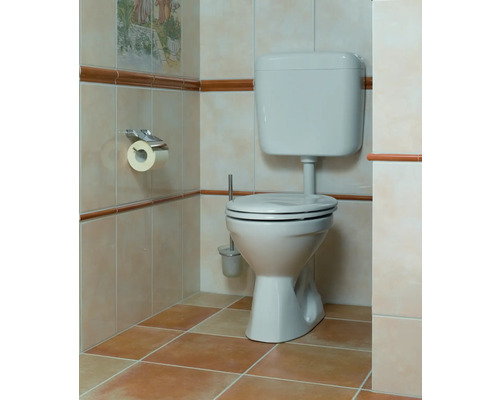 Salle de bains avec toilettes, brosse de toilette et porte-papier hygiénique