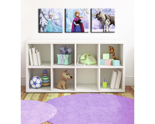 Dekorative Leinwand mit Eiskönigin Motiven über einem weißen Regal