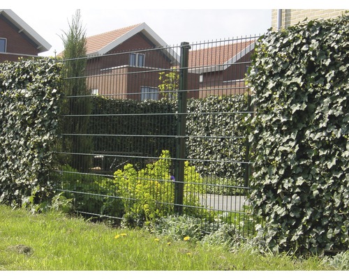 Clôture en fil de fer avec végétation comme élément de jardin