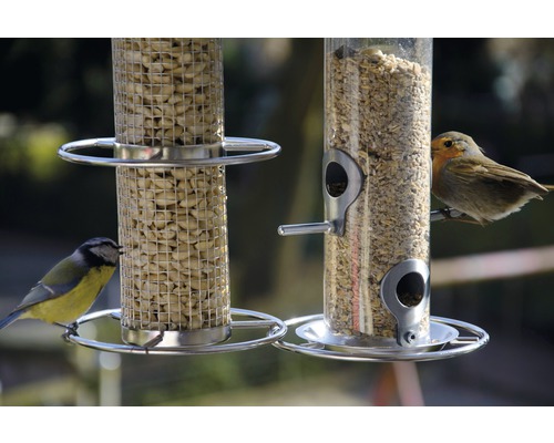 Deux mangeoires à oiseaux avec une mésange bleue et un rouge-gorge