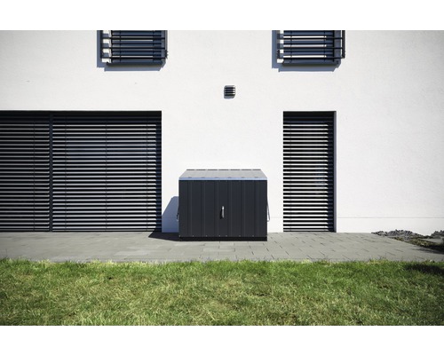 Metall Gerätebox vor Hauswand mit Rasen